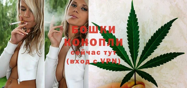 МДПВ Белокуриха