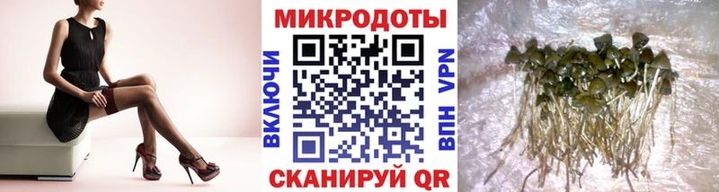 что такое наркотик  Северская  блэк спрут как войти  Псилоцибиновые грибы Cubensis 
