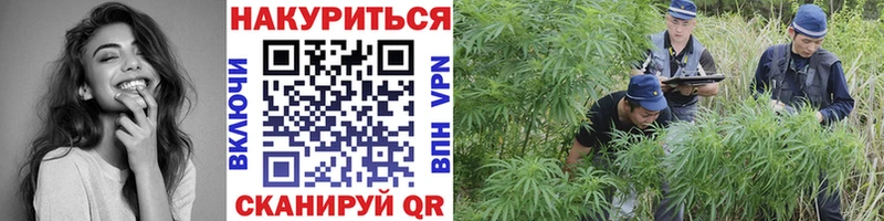 omg маркетплейс  Северская  Бошки Шишки планчик 